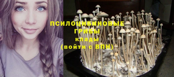 дмт Баксан